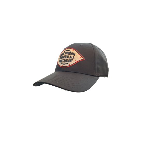 Eye Beholder of all things SCD dad hat - Picture 2 of 5